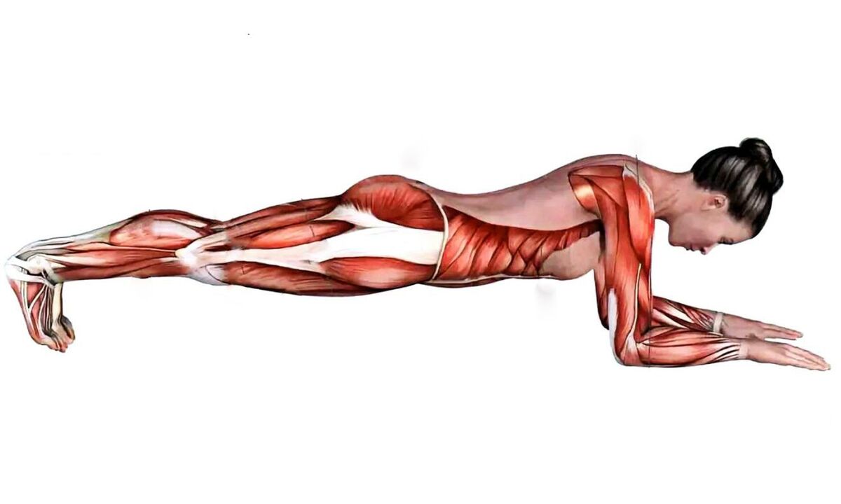 mitkä lihakset toimivat lankun aikana